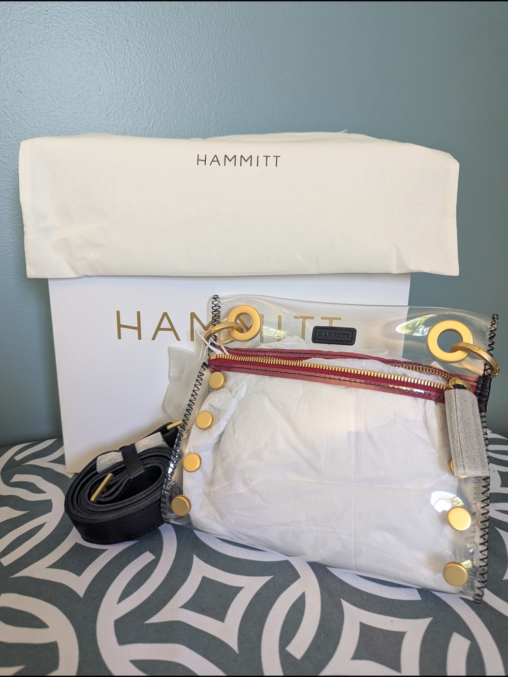 Hammitt Clear Crossbody Bag